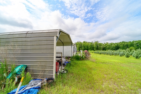 120 Acre Tree Farm  & 2 Homes For Sale - Live Oak Florida! - image 28