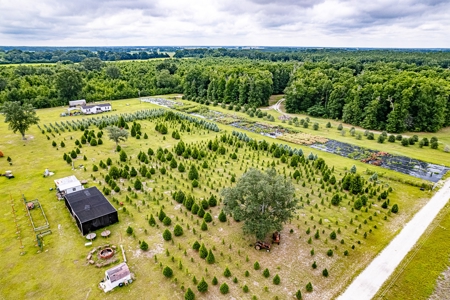 120 Acre Tree Farm  & 2 Homes For Sale - Live Oak Florida! - image 31
