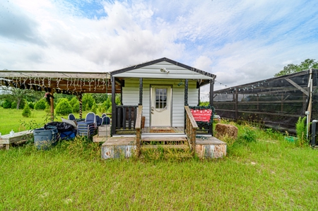 120 Acre Tree Farm  & 2 Homes For Sale - Live Oak Florida! - image 29