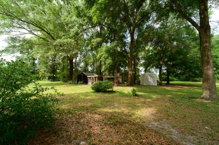 120 Acre Tree Farm  & 2 Homes For Sale - Live Oak Florida! - image 24