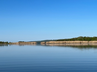 Island Lakefront Camp - image 3