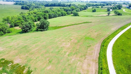 Live Auction- 104.14 Acres in Blackwater, MO with Home - image 11