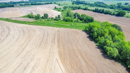 Live Auction- 104.14 Acres in Blackwater, MO with Home - image 29