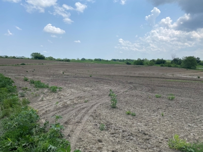 Live Auction- 104.14 Acres in Blackwater, MO with Home - image 6