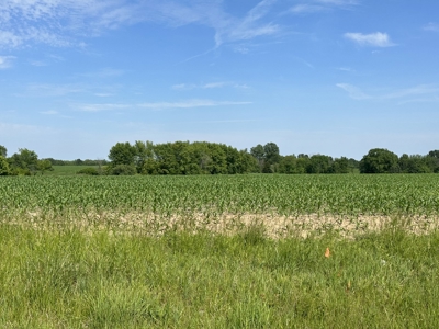 Live Auction- 104.14 Acres in Blackwater, MO with Home - image 7