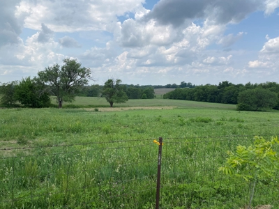 Live Auction- 104.14 Acres in Blackwater, MO with Home - image 4