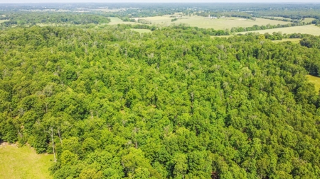 Hunter's Paradise with 167 Acres for Sale in West Plains, MO - image 16