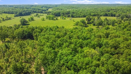 Hunter's Paradise with 167 Acres for Sale in West Plains, MO - image 14