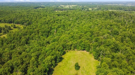 Hunter's Paradise with 167 Acres for Sale in West Plains, MO - image 17