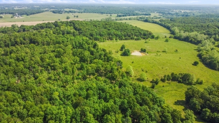Hunter's Paradise with 167 Acres for Sale in West Plains, MO - image 18
