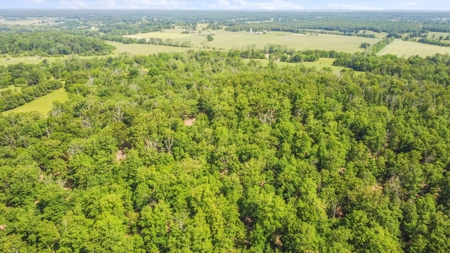 Hunter's Paradise with 167 Acres for Sale in West Plains, MO - image 12