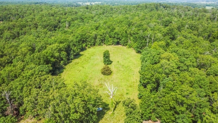 Hunter's Paradise with 167 Acres for Sale in West Plains, MO - image 15