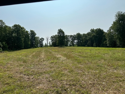 Hunter's Paradise with 167 Acres for Sale in West Plains, MO - image 26