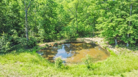 Hunter's Paradise with 167 Acres for Sale in West Plains, MO - image 5