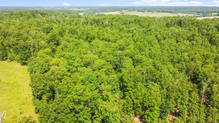 Hunter's Paradise with 167 Acres for Sale in West Plains, MO - image 7