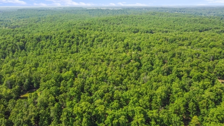 Hunter's Paradise with 167 Acres for Sale in West Plains, MO - image 6