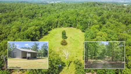 Hunter's Paradise with 167 Acres for Sale in West Plains, MO - image 1