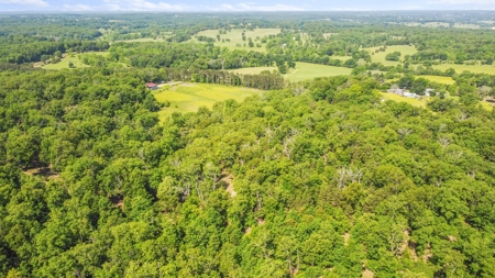 Hunter's Paradise with 167 Acres for Sale in West Plains, MO - image 11