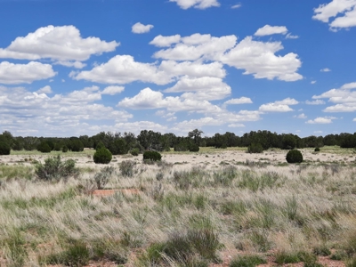 Rural Northern Az Off Grid Cabin On 40 Fenced Acres - image 7