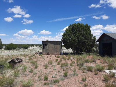 Rural Northern Az Off Grid Cabin On 40 Fenced Acres - image 4