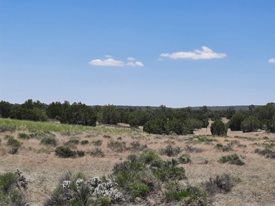 Rural Northern Az Off Grid Cabin On 40 Fenced Acres - image 20