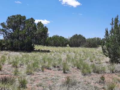 Rural Northern Az Off Grid Cabin On 40 Fenced Acres - image 5
