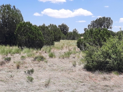 Rural Northern Az Off Grid Cabin On 40 Fenced Acres - image 21