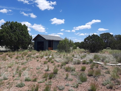 Rural Northern Az Off Grid Cabin On 40 Fenced Acres - image 3