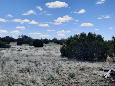 Rural Northern Az Off Grid Cabin On 40 Fenced Acres - image 10