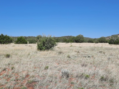 Rural Property Northern Az Off Historic Route 66 - image 3