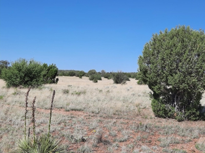 Rural Property Northern Az Off Historic Route 66 - image 2