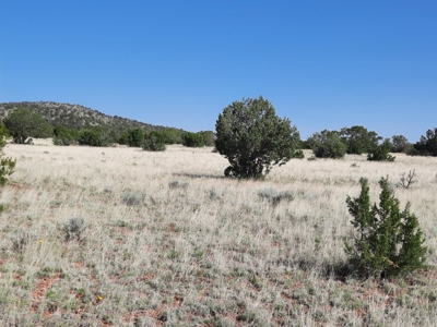 Rural Property Northern Az Off Historic Route 66 - image 6