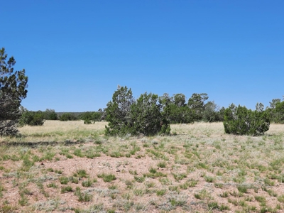 Rural Northern Az Property - image 6