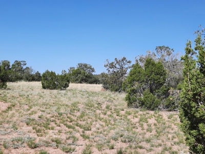 Rural Northern Az Property - image 2