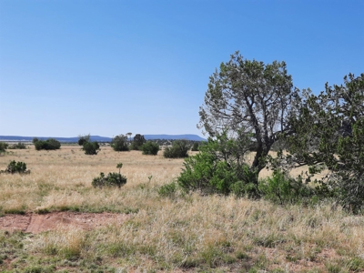 Rural Northern Az Property - image 3