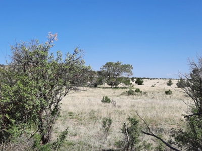 Rural Northern Az Property - image 5