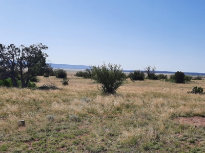 Rural Northern Az Property - image 4