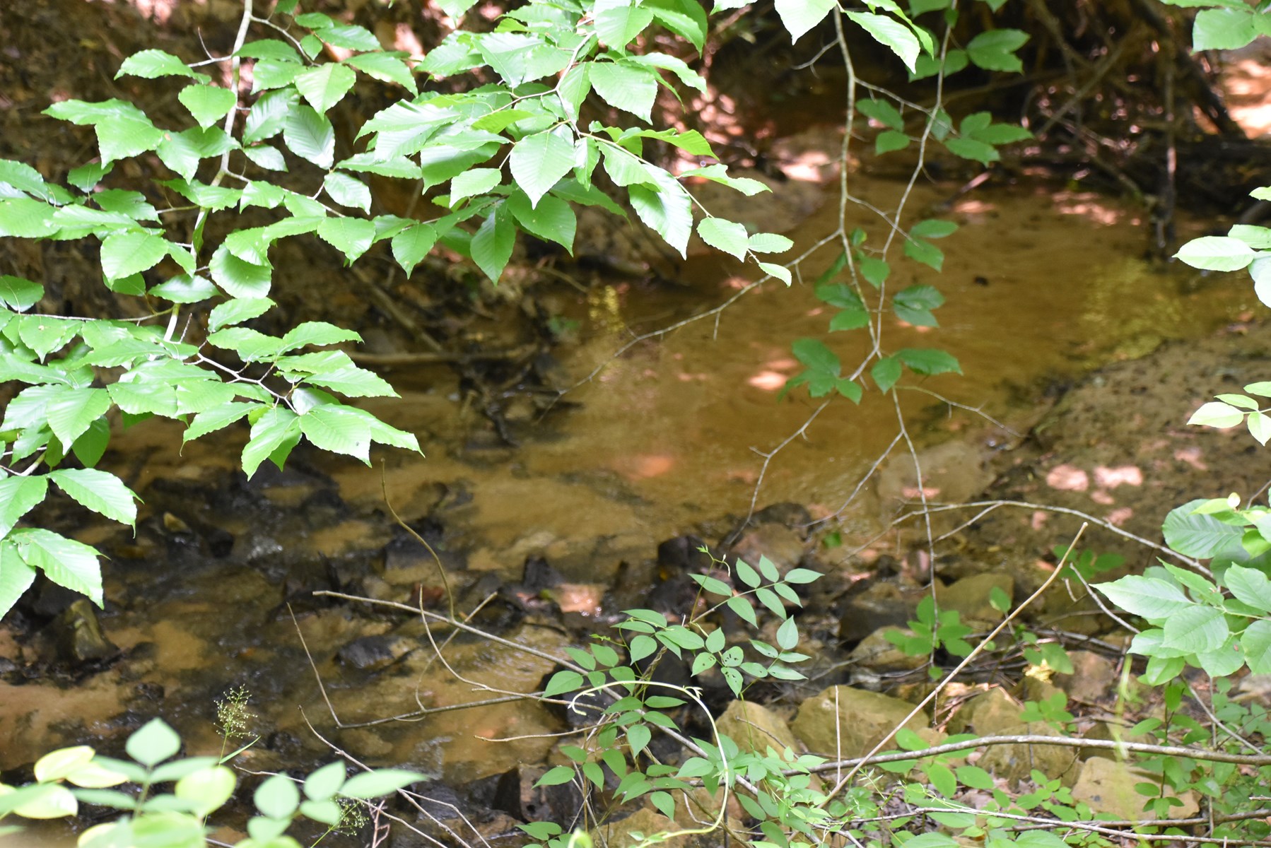 TN Family Compound w/191 Ac, Shops, Creeks, Timber, Wildlife - image 32