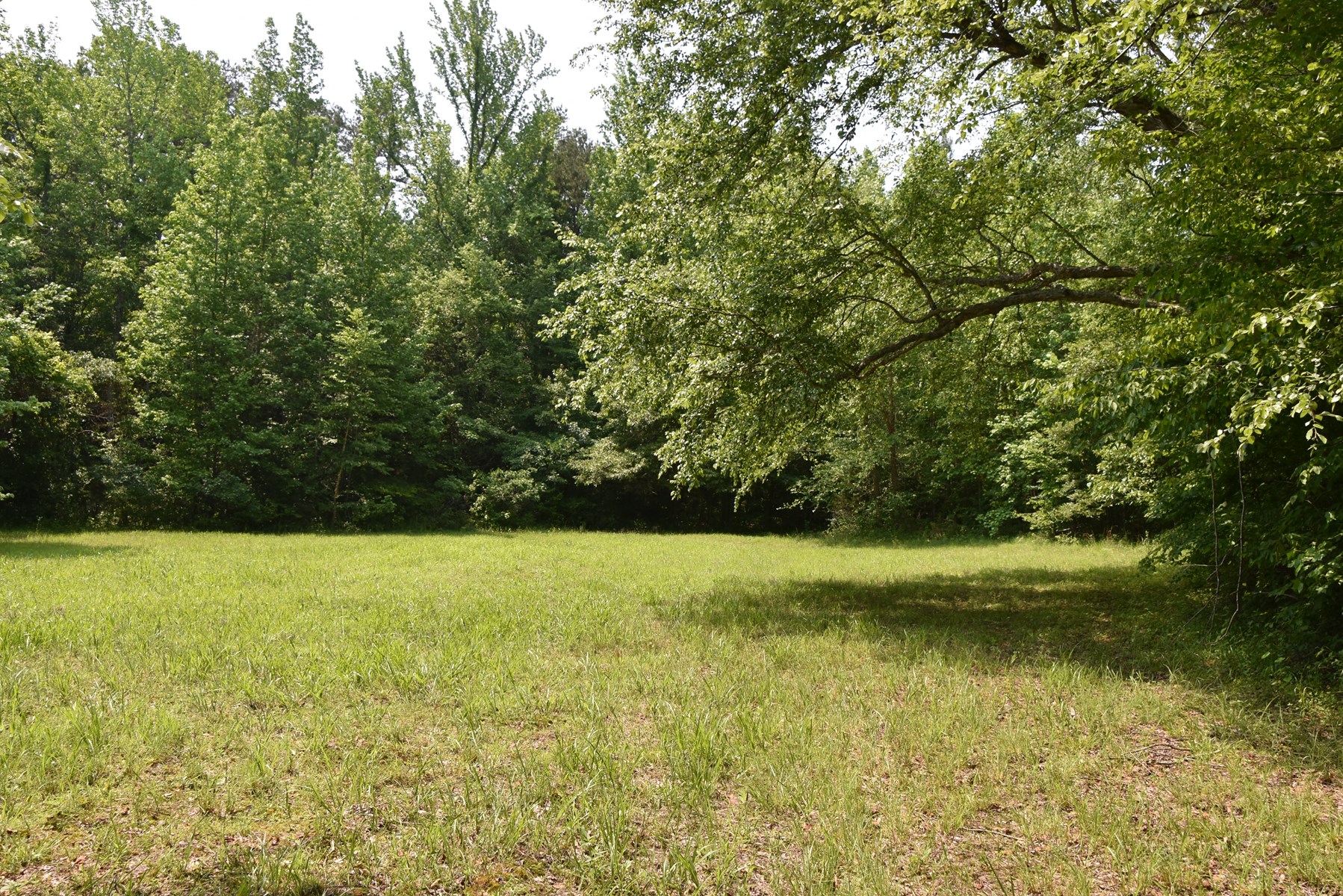 TN Family Compound w/191 Ac, Shops, Creeks, Timber, Wildlife - image 34