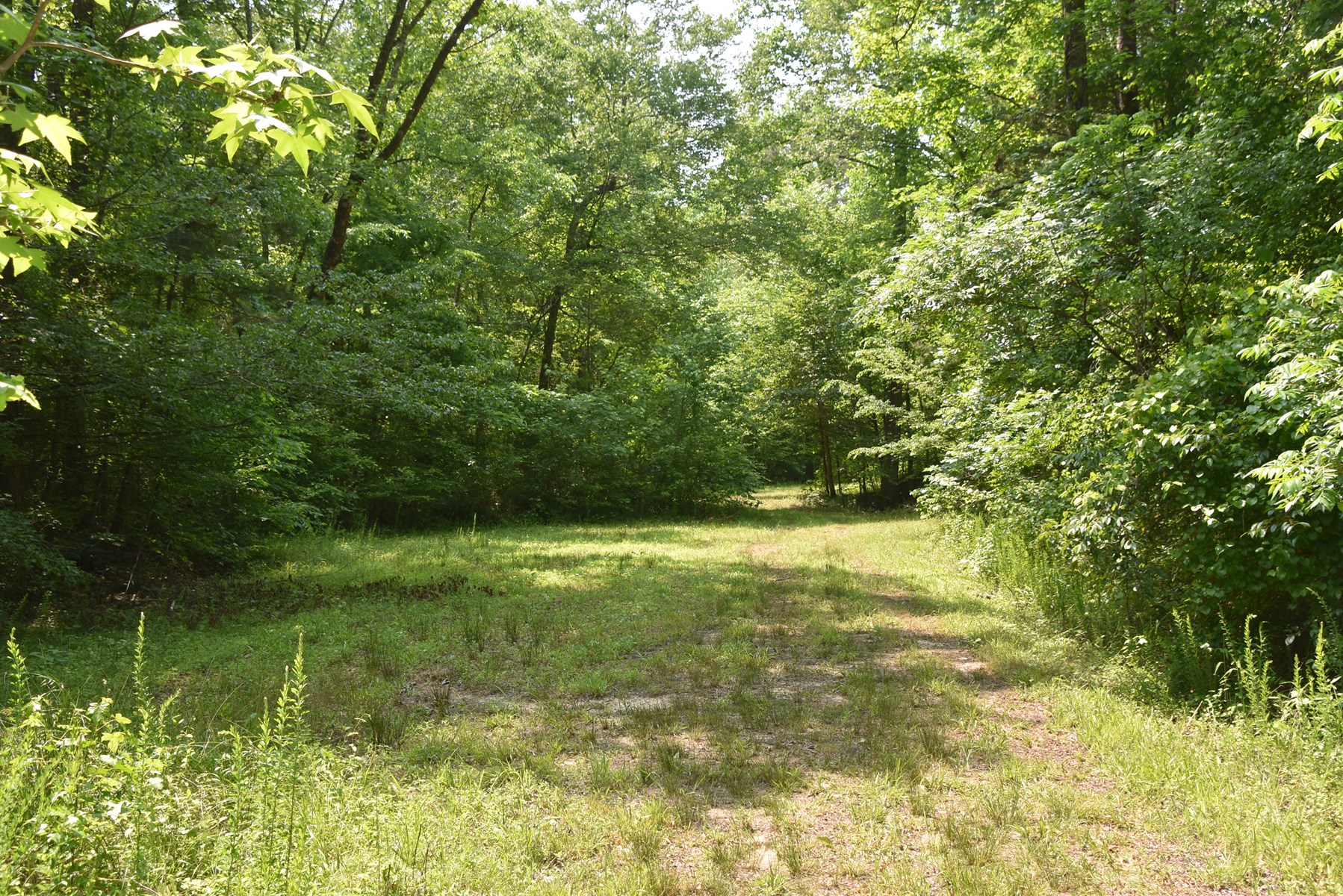 TN Family Compound w/191 Ac, Shops, Creeks, Timber, Wildlife - image 33