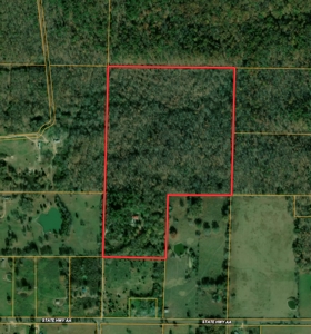 Log Cabin and 49 +/- Acres in Alton Missouri - image 22
