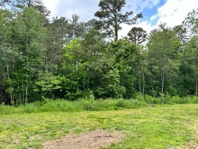 Log Cabin and 49 +/- Acres in Alton Missouri - image 19