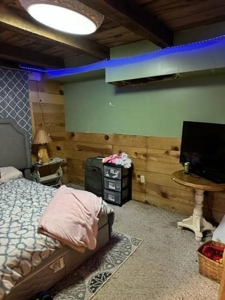 Log Cabin and 49 +/- Acres in Alton Missouri - image 14