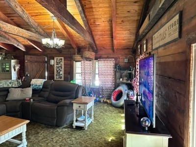 Log Cabin and 49 +/- Acres in Alton Missouri - image 8