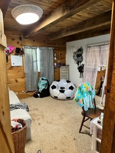 Log Cabin and 49 +/- Acres in Alton Missouri - image 15