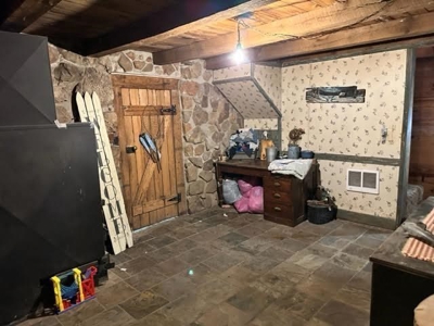 Log Cabin and 49 +/- Acres in Alton Missouri - image 16