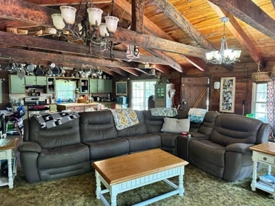 Log Cabin and 49 +/- Acres in Alton Missouri - image 7