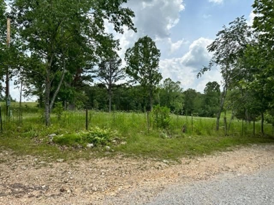 Log Cabin and 49 +/- Acres in Alton Missouri - image 20