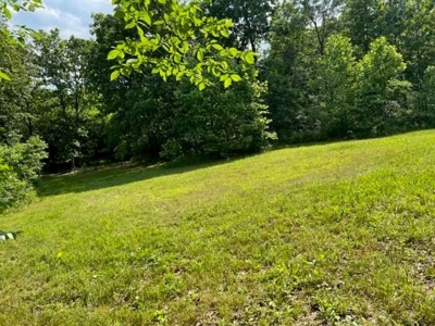 Log Cabin and 49 +/- Acres in Alton Missouri - image 21