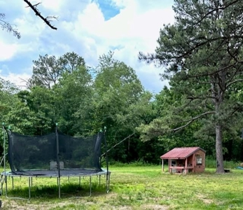 Log Cabin and 49 +/- Acres in Alton Missouri - image 18